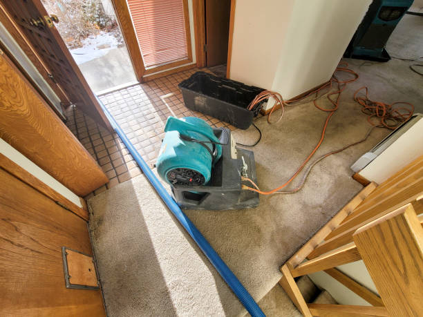 Best Sewage cleanup and water damage restoration  in Albany, MN