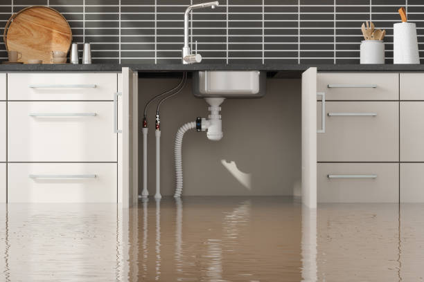 Best Flooded house restoration  in Albany, MN